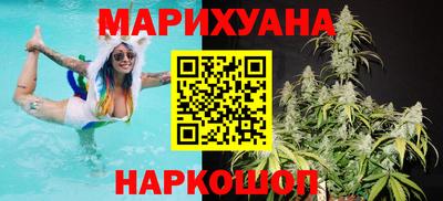 сатива Волжский