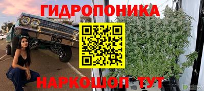 сатива Волжский