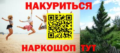 сатива Волжский