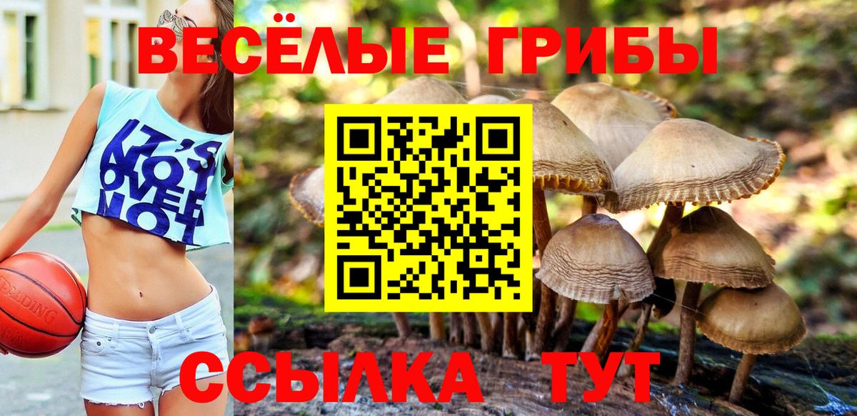 Галлюциногенные грибы Magic Shrooms  где купить наркоту  Коркино  Вход с VPN 